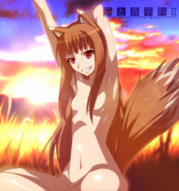 jet yowatari, holo, spice and wolf, bad id, bad pixiv id, 00s, 1girl, animal ears, armpits, arms up, brown hair, censored, convenient censoring, female focus, grin, hair censor, hair over breasts, long hair, nude, pink eyes, sitting, sky, smile, solo, tail, wolf ears, wolf tail