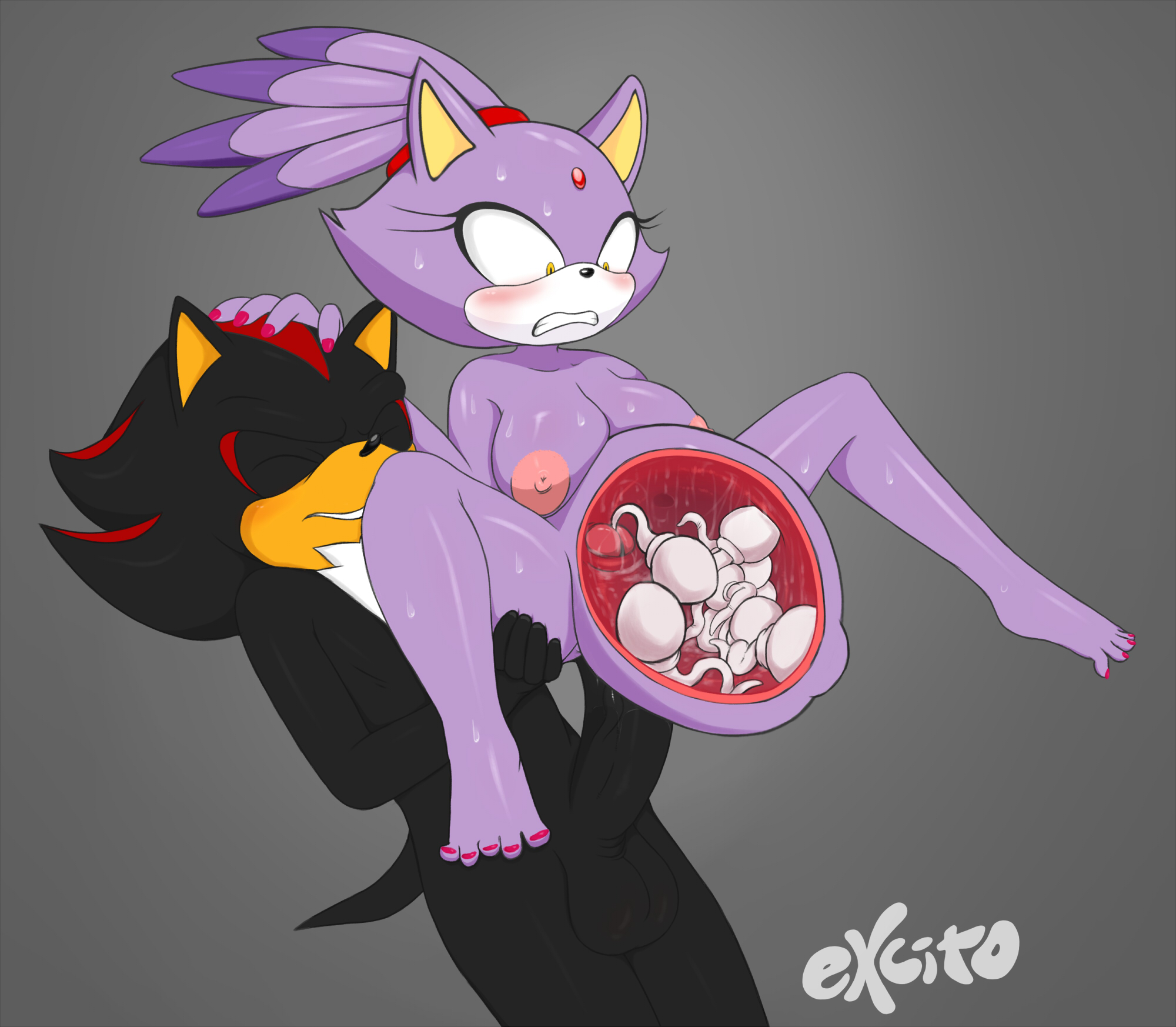 Rule34 – If it exists, there is porn of it / excito, blaze the cat, shadow the hedgehog / 431010
