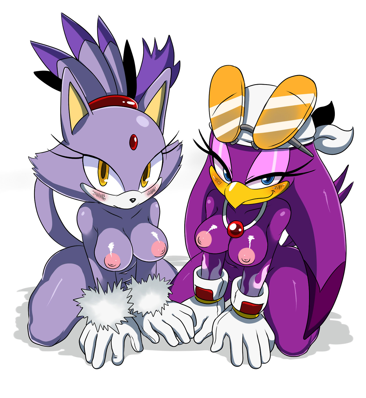 Rule34 – If it exists, there is porn of it / sssonic2, blaze the cat, wave the swallow / 431025