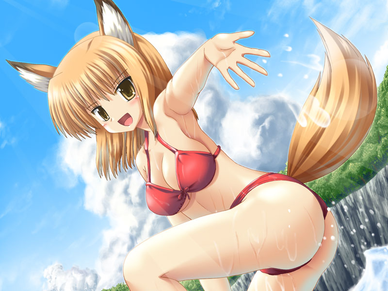 yoruuma, original, 1girl, animal ears, bikini, breasts, cloud, day, female focus, fox ears, fox tail, large breasts, red bikini, sky, solo, swimsuit, tail, water