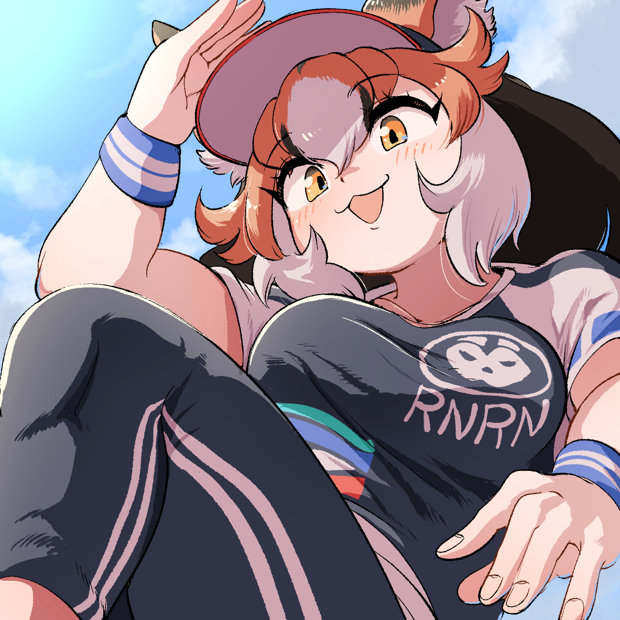 mcgunngu, culpeo (kemono friends), kemono friends, highres, 1girl, animal ears, black hair, blue sky, blush, breasts, brown eyes, brown hair, extra ears, grey hair, hat, jersey, large breasts, long hair, looking at viewer, multicolored hair, outdoors, shirt, sky, solo, t-shirt, wristband