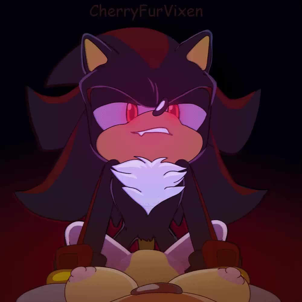 Rule34 – If it exists, there is porn of it / amy rose, shadow the hedgehog / 8732071