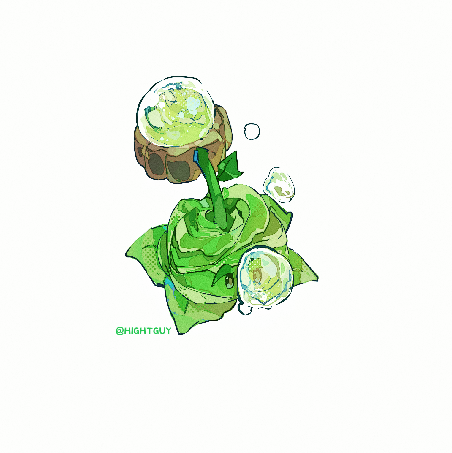 hightguy, cabbage-pult (plants vs. zombies), plants vs. zombies, commentary, highres, symbol-only commentary, air bubble, artist name, black eyes, bubble, cabbage, film grain, food focus, from above, halftone, leaf, looking ahead, no humans, plant, plant focus, simple background, solid oval eyes, solo, white background