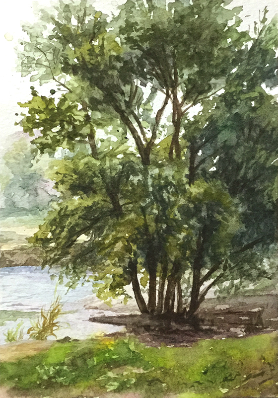 original, commentary request, day, no humans, okasira, outdoors, real world location, river, scenery, tree