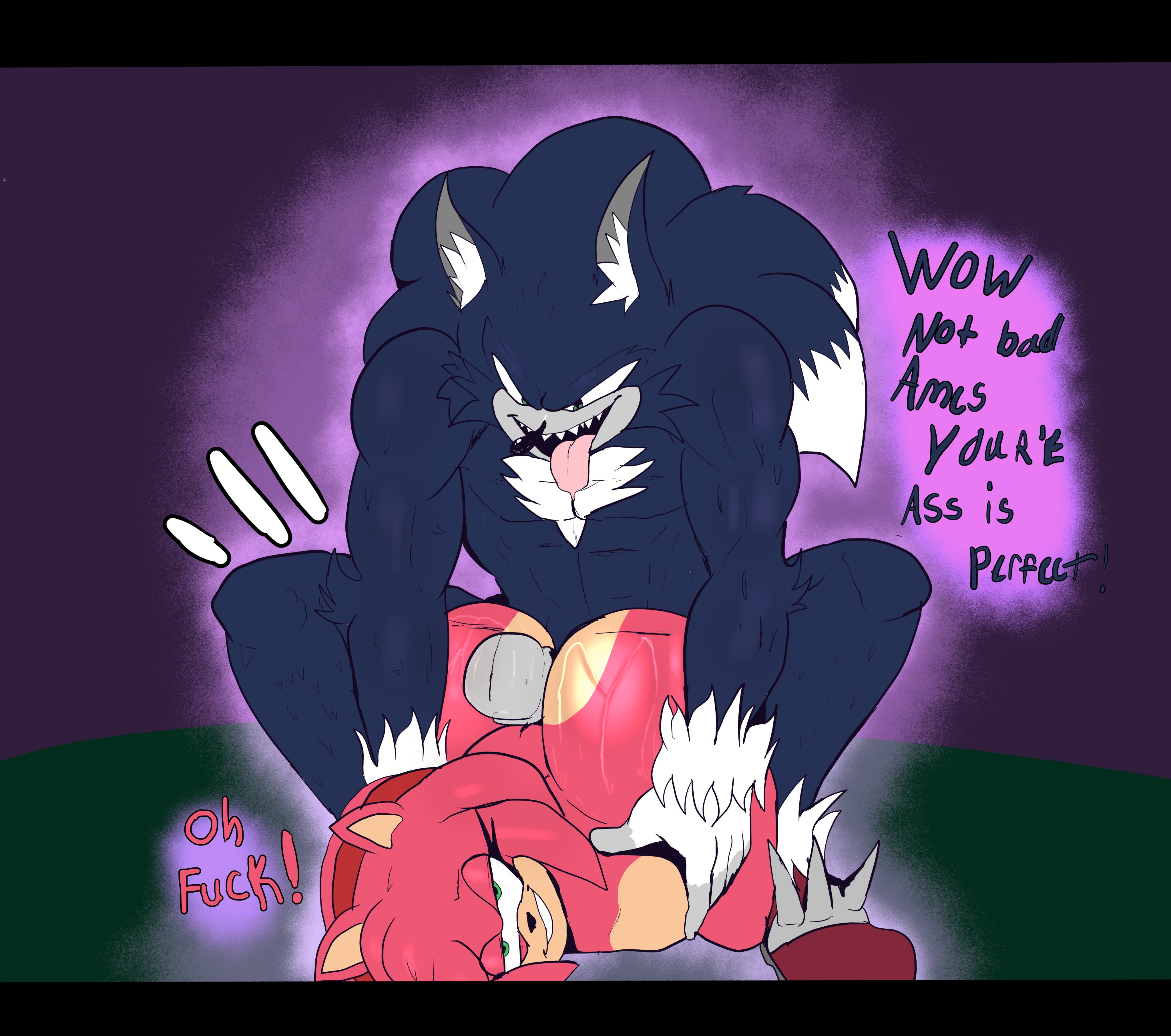 Rule34 – If it exists, there is porn of it / amy rose, sonic the hedgehog, sonic the werehog / 8757770