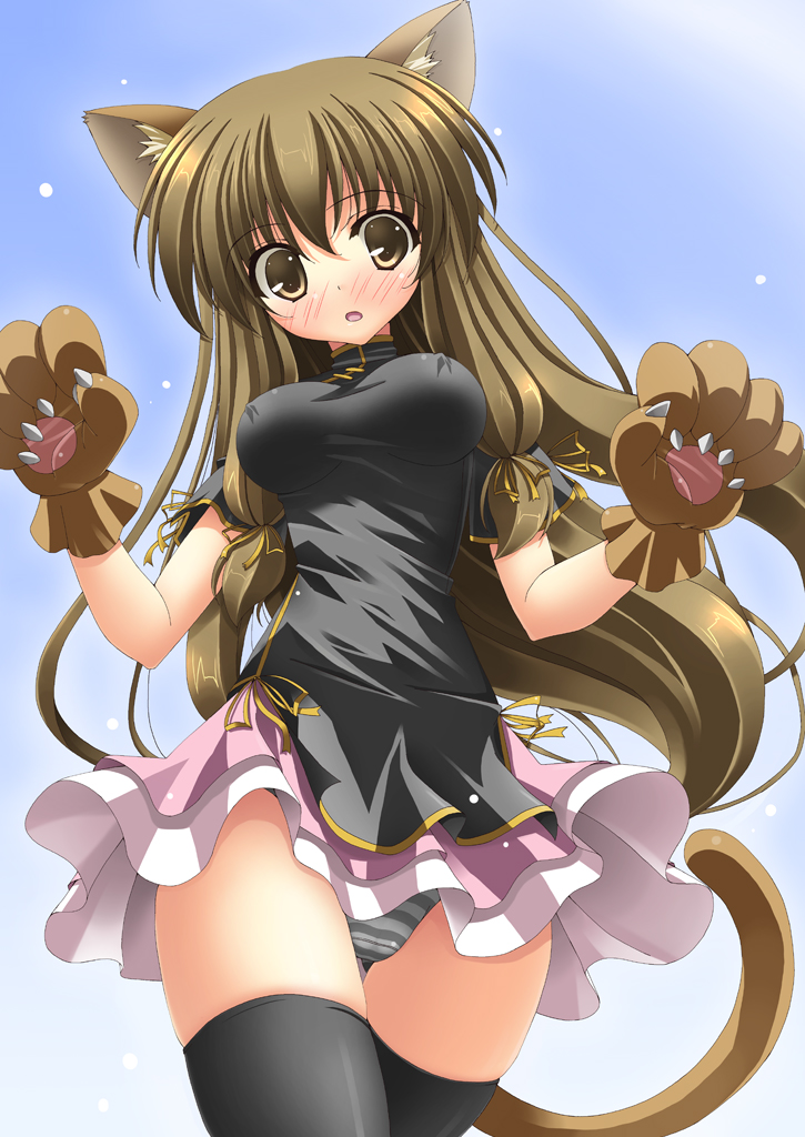 rappa (rappaya), original, 1girl, animal ears, animal hands, black shirt, black thighhighs, blouse, blush, breasts, brown eyes, brown hair, cat ears, cat tail, china dress, chinese clothes, covered erect nipples, dress, female focus, from below, large breasts, lolita fashion, looking down, miniskirt, panties, qi lolita, shirt, skirt, solo, striped clothes, striped panties, tail, thighhighs, underwear