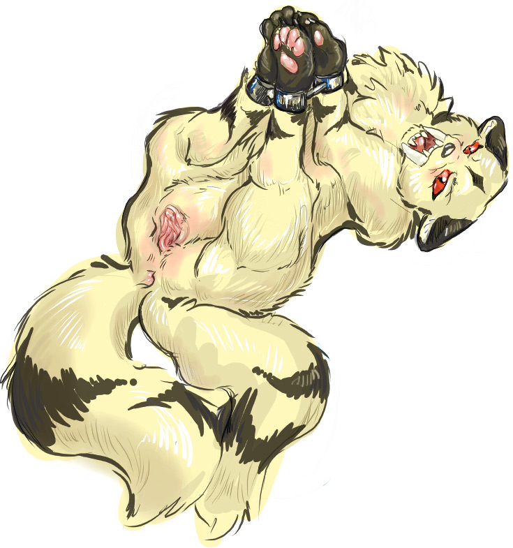 kirara (inuyasha), inuyasha, animal, anus, bdsm, bondage, bound, fangs, furry, pussy