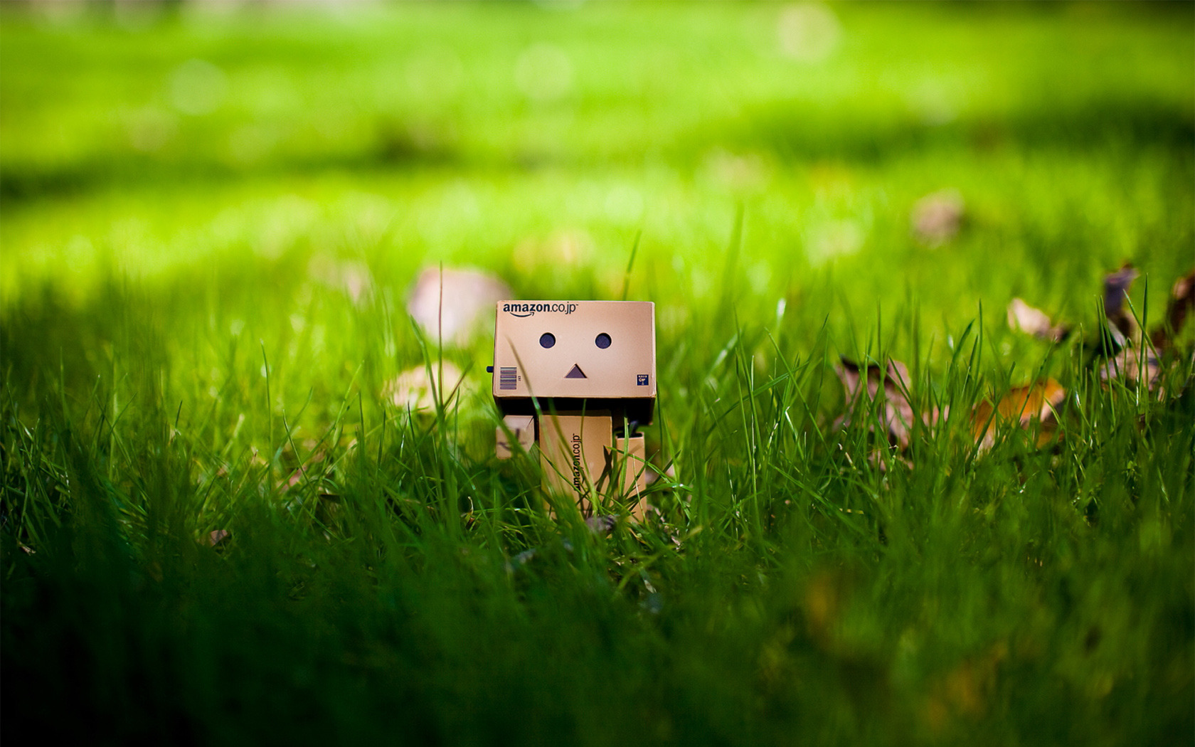 danboo, amazon (company), yotsubato!, minimized, artist request, highres, photo (medium), figure (medium), grass, no humans, non-humanoid robot, robot, toy