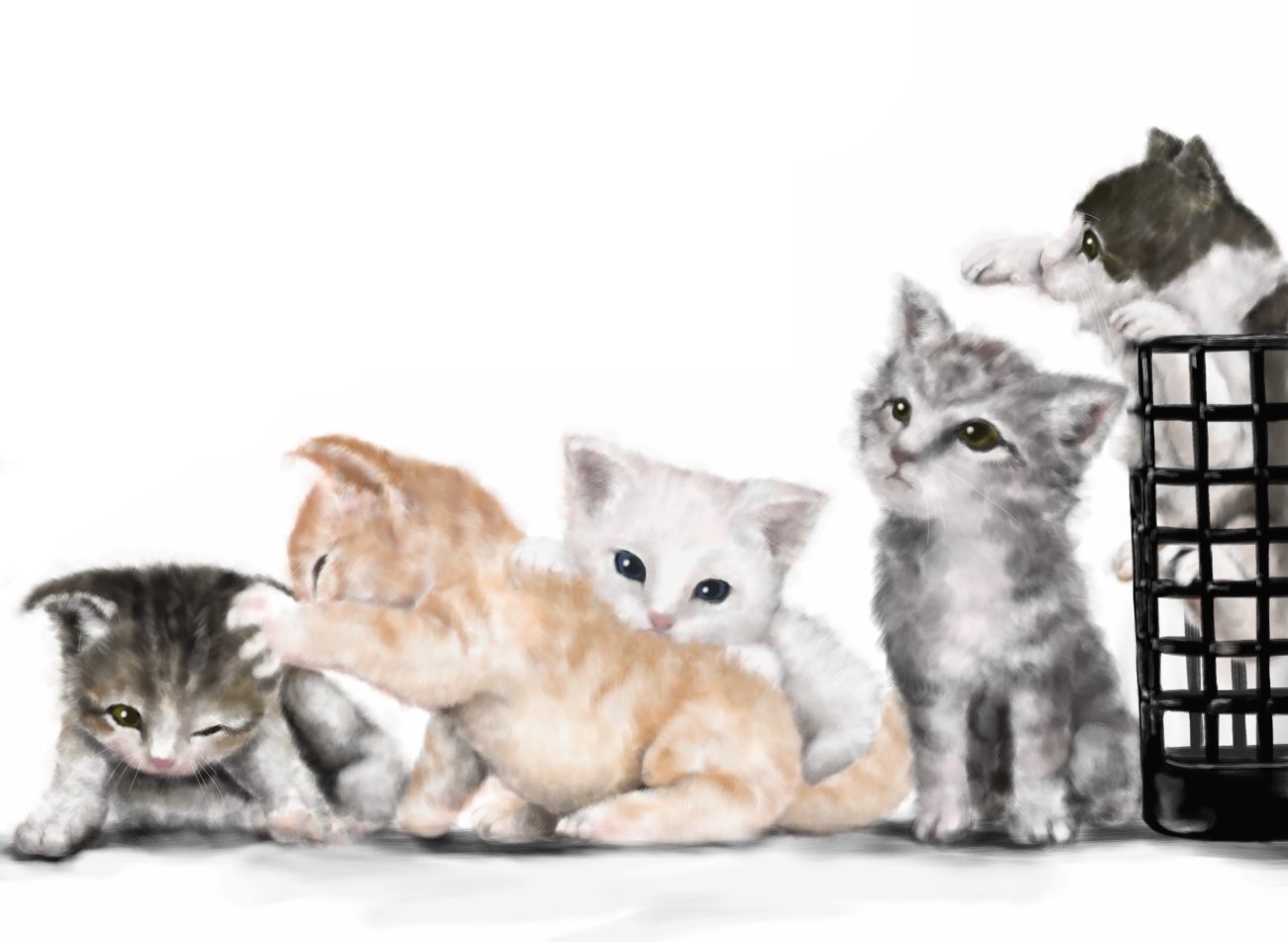 777purin, ban (777purin), ban (purin), animal focus, baby animal, black eyes, blue eyes, brown eyes, cat, kitten, no humans, realistic