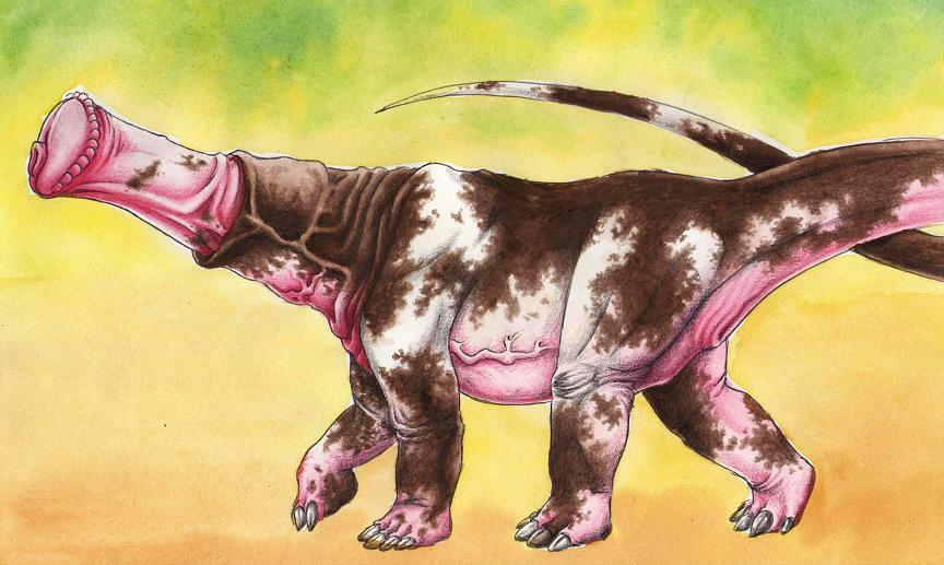 Rule34 – If it exists, there is porn of it / zeminor / 434427