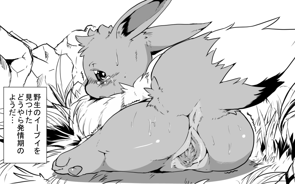 Rule34 – If it exists, there is porn of it / dagasi, eevee / 434832