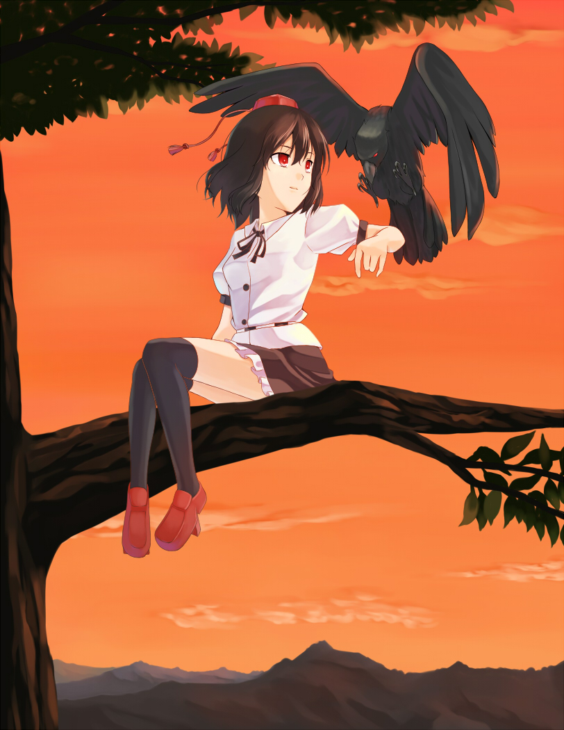 tadokoro teppei, shameimaru aya, touhou, looking away, bad id, bad pixiv id, 1girl, animal, animal on shoulder, bird, bird on shoulder, black hair, crow, evening, expressionless, female focus, geta, hat, in tree, looking at another, red eyes, short hair, sitting, sitting in tree, solo, tengu-geta, thighhighs, tokin hat, tree, twilight
