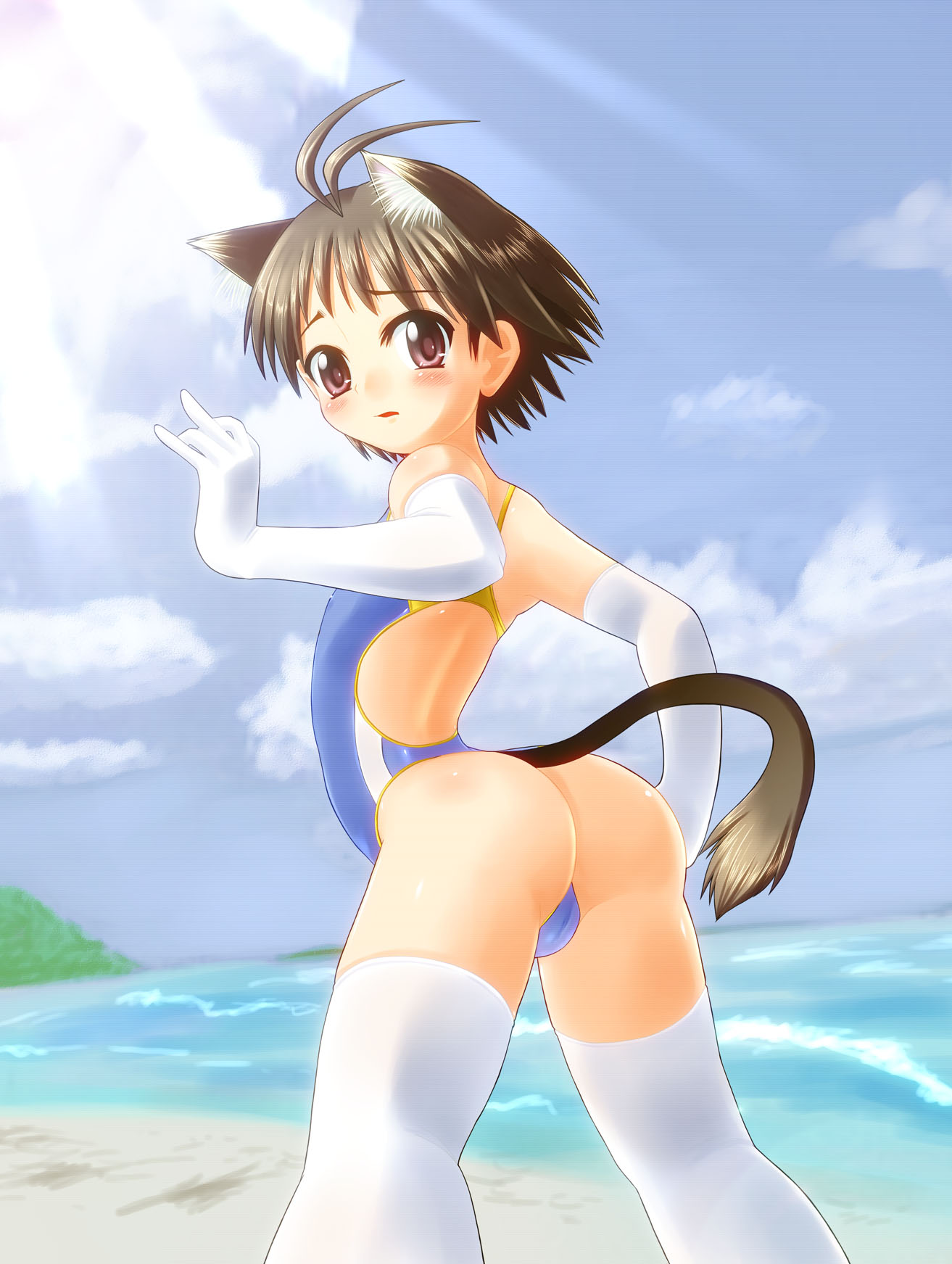 agaa (masatu), kikuchi makoto, idolmaster, idolmaster (classic), highres, 00s, 1girl, animal ears, antenna hair, ass, beach, blush, brown eyes, brown hair, cat ears, cat girl, cat tail, competition swimsuit, day, elbow gloves, female focus, gloves, looking back, nature, ocean, one-piece swimsuit, one-piece thong, outdoors, panties, short hair, sky, solo, swimsuit, tail, thighhighs, thong, underwear, white thighhighs