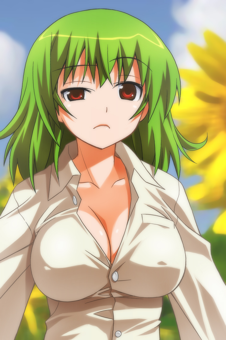 umekichi, kazami yuuka, touhou, bad id, bad pixiv id, 1girl, blue sky, blurry, breasts, cleavage, cloud, collarbone, covered erect nipples, day, depth of field, dress shirt, female focus, flower, frown, green hair, impossible clothes, impossible shirt, large breasts, outdoors, raised eyebrow, red eyes, shirt, sky, solo, sunflower, unbuttoned, uneven eyes, upper body