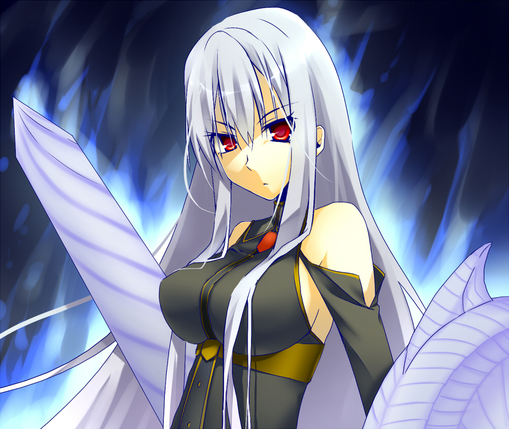 aobara, selvaria bles, senjou no valkyria, senjou no valkyria (series), senjou no valkyria 1, silver hair, 00s, long hair, military, military uniform, polearm, red eyes, shield, spear, weapon