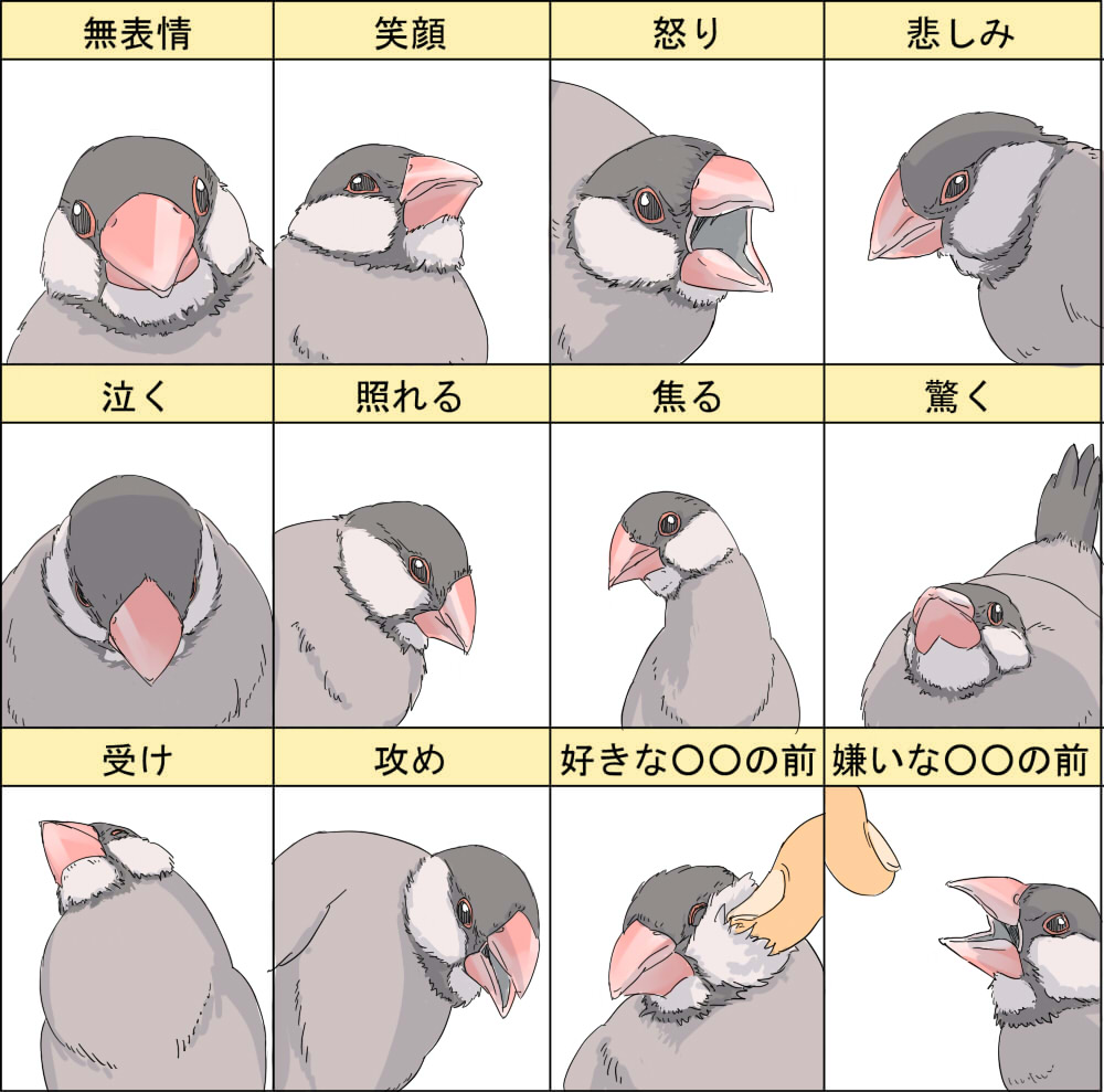 ma (2ql), original, bad id, bad pixiv id, bird, cheek poking, java sparrow, multiple expressions, multiple views, no humans, poking, simple background, white background