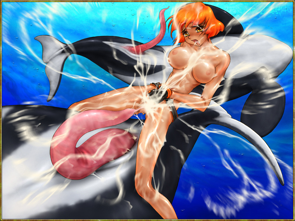 Rule34 – If it exists, there is porn of it / toyomaru / 438097