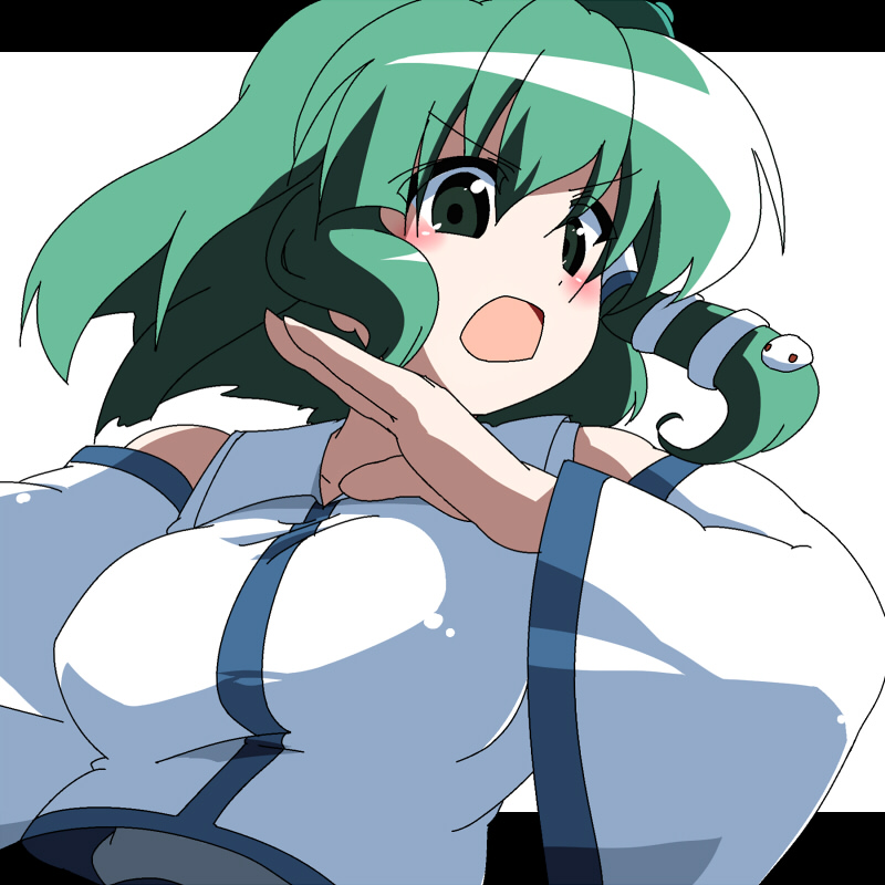 oka (bananashoe), kochiya sanae, touhou, 1girl, female focus, green eyes, green hair, letterboxed, matching hair/eyes, solo