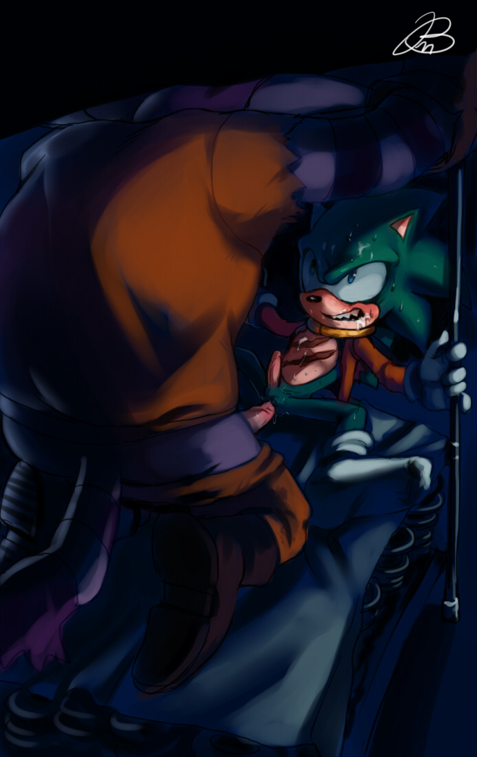 Rule34 – If it exists, there is porn of it / big the cat, scourge the hedgehog / 438813