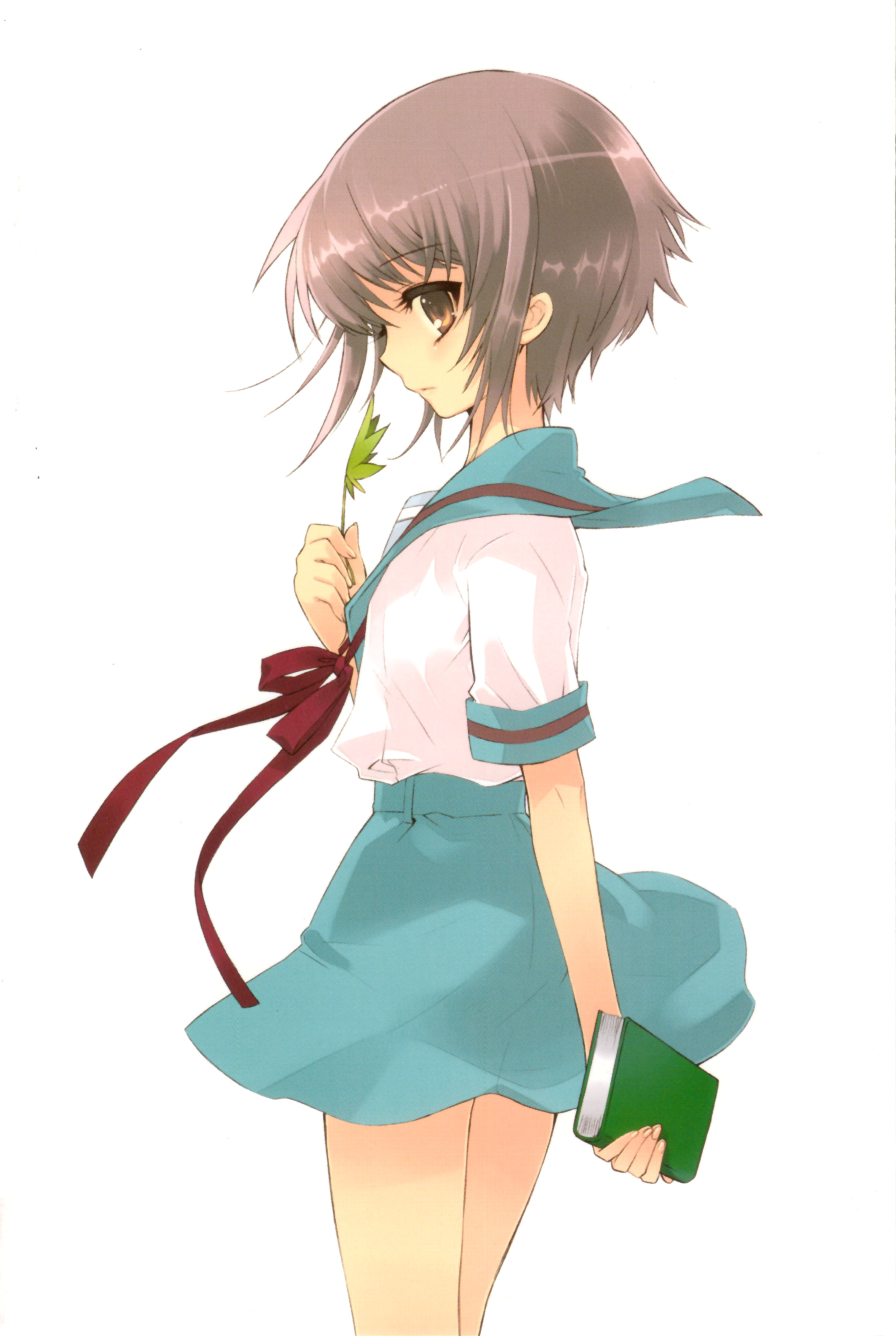 ito noizi, nagato yuki, suzumiya haruhi no yuuutsu, absurdres, highres, 00s, 1girl, book, brown eyes, female focus, leaf, looking back, maple leaf, purple hair, ribbon, school uniform, serafuku, short hair, skirt, solo