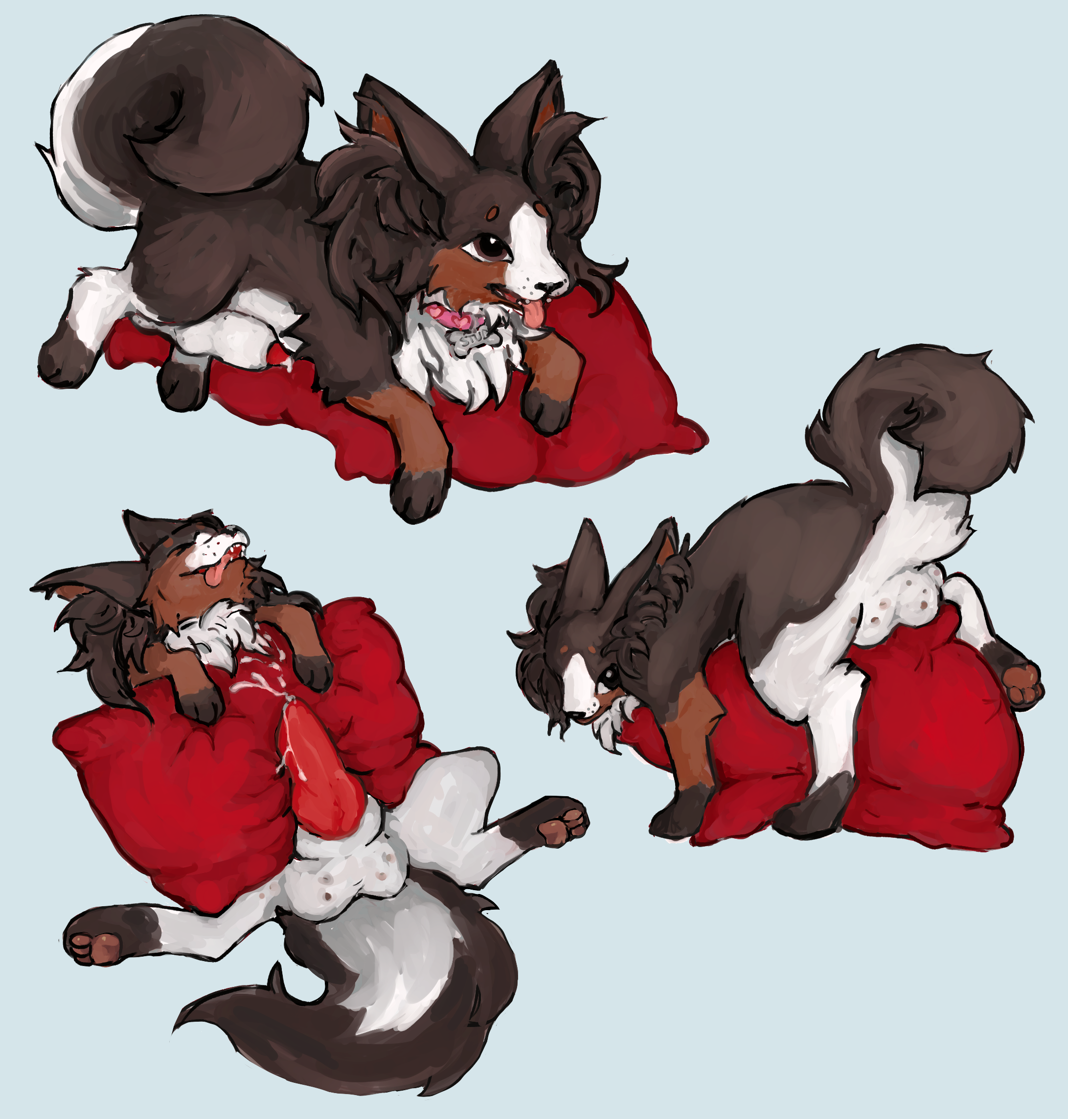 Rule34 – If it exists, there is porn of it / papillon / 8878645