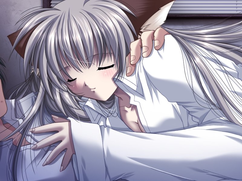 yamamoto kazue, okaeshi beast!!, silver hair, game cg, 1girl, animal ears, cuddling, dress shirt, female focus, long hair, shirt, solo, tail, very long hair