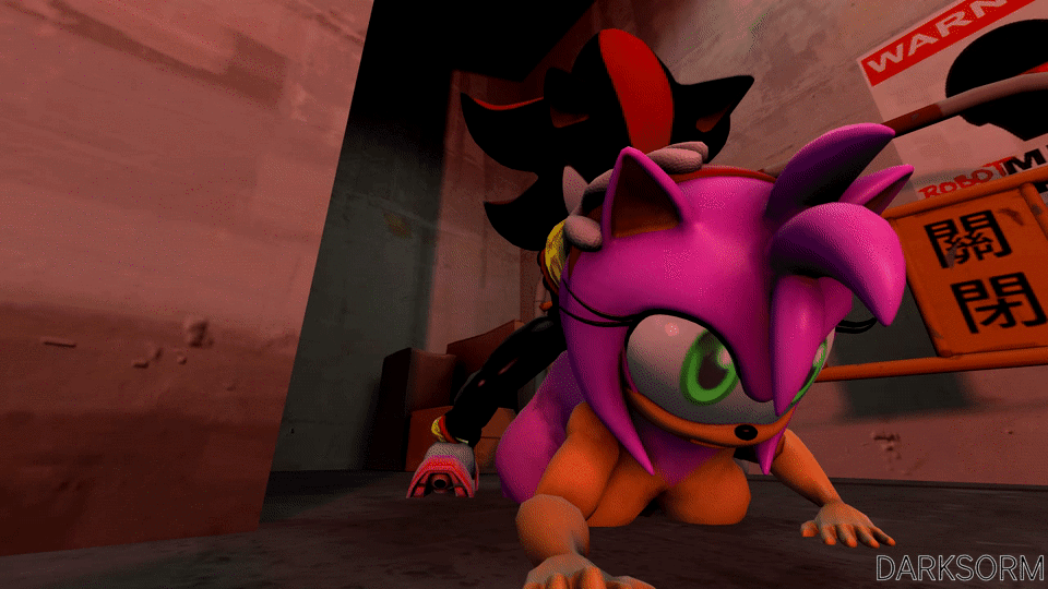 Rule34 – If it exists, there is porn of it / darksorm, amy rose, shadow the hedgehog / 440857