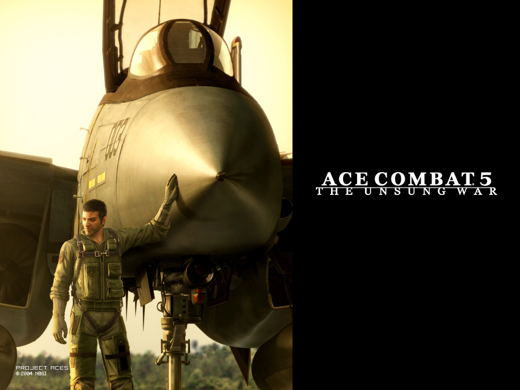 captain bartlett, f-14, ace combat, ace combat 5, jet, official art, aircraft, airplane, external fuel tank, wardog squadron