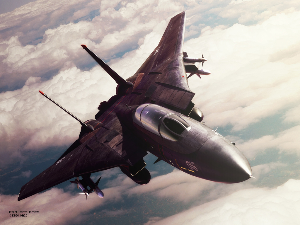 blaze (character), demon of razgriz, f-14, ace combat, ace combat 5, aircraft, airplane, external fuel tank, missile, razgriz