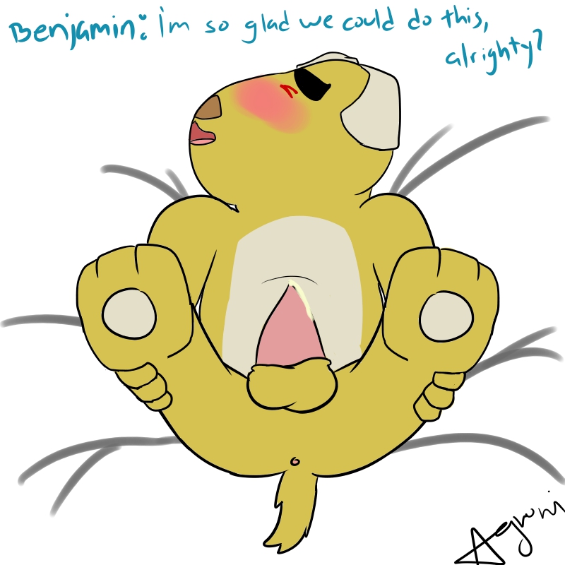 Rule34 – If it exists, there is porn of it / agroni, benjamin (animal crossing) / 441692