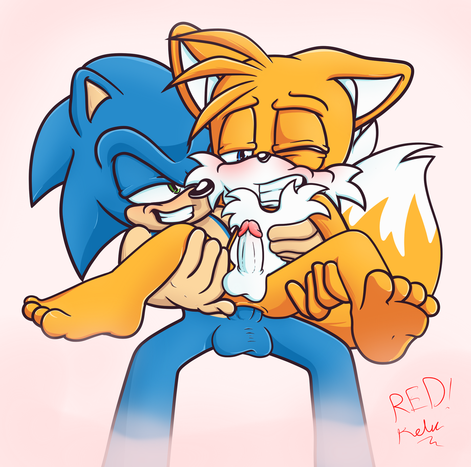 Rule34 – If it exists, there is porn of it / sonic the hedgehog, tails / 444997