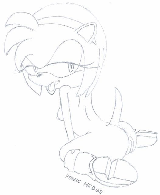 Rule34 – If it exists, there is porn of it / fonic hedge, amy rose / 449181