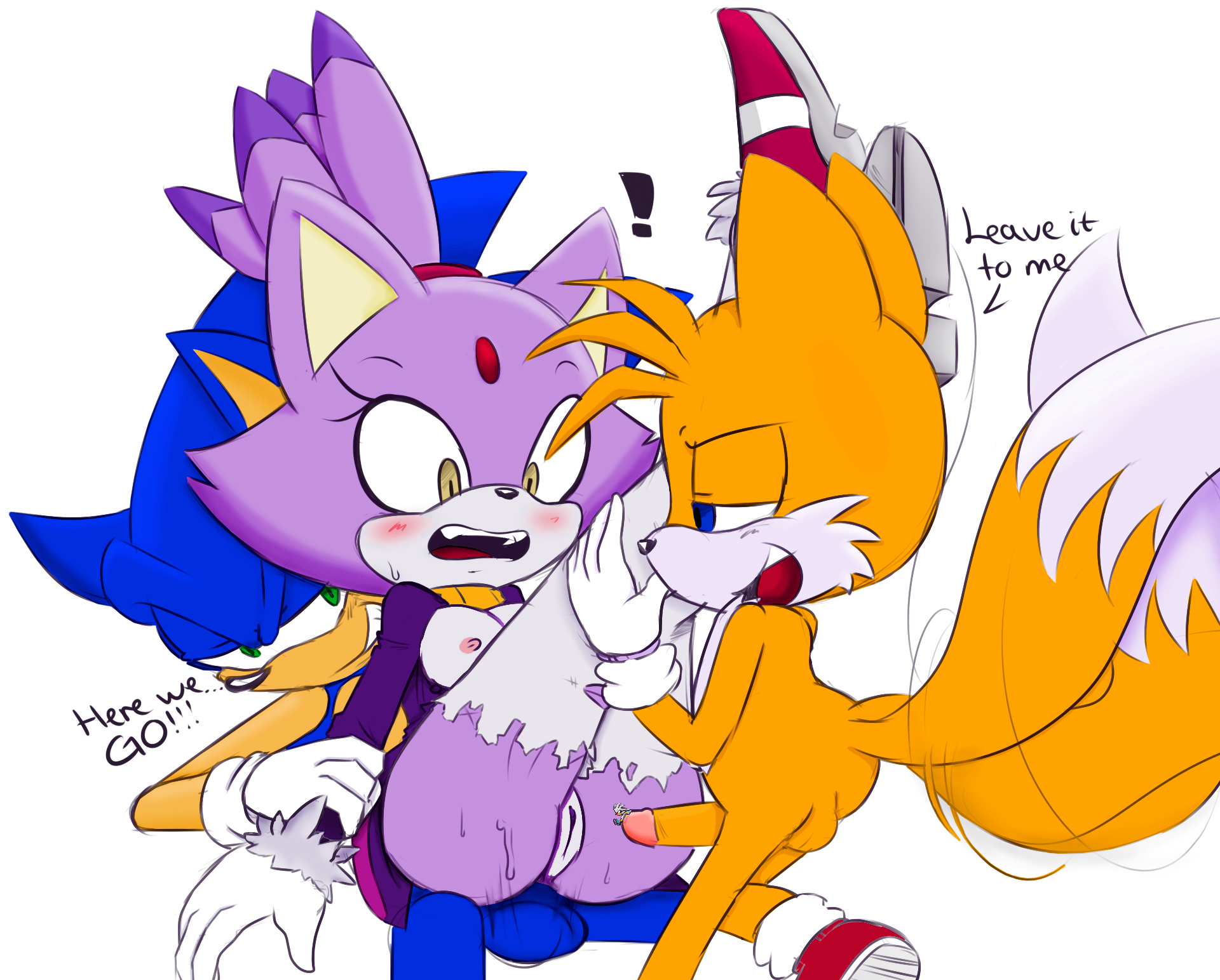 Rule34 – If it exists, there is porn of it / hearlesssoul, blaze the cat, silver the hedgehog, sonic the hedgehog, tails / 454483