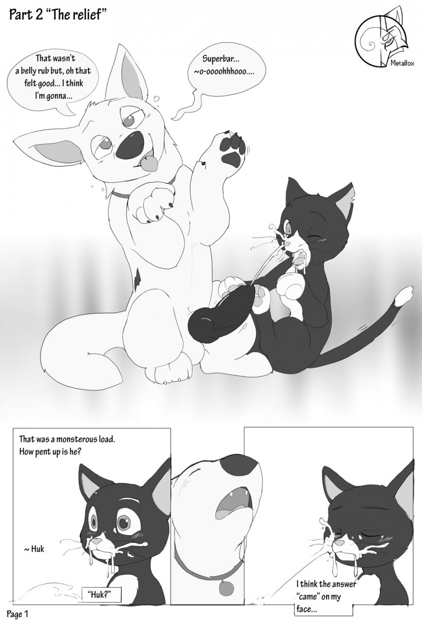 Rule34 – If it exists, there is porn of it / metalfox, bolt (character), mittens (bolt) / 455234