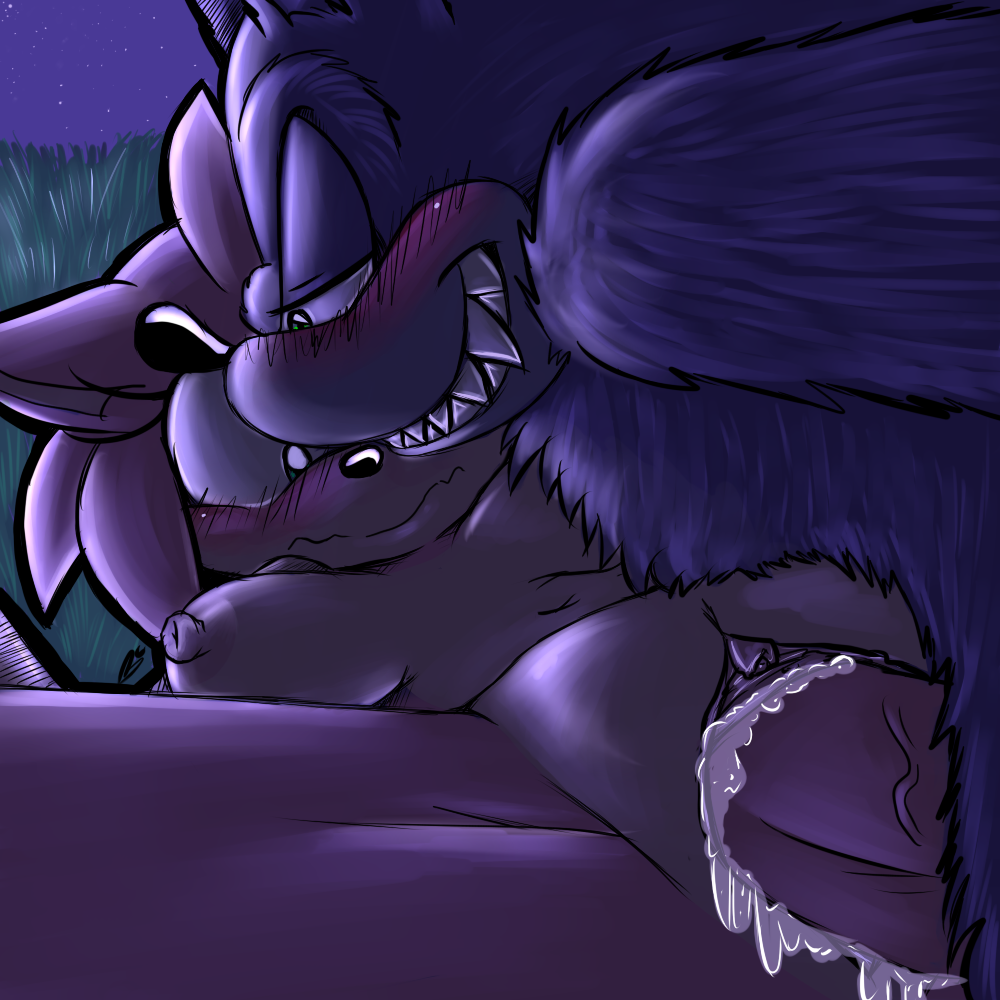 Rule34 – If it exists, there is porn of it / bluechika, amy rose, sonic the werehog / 455933
