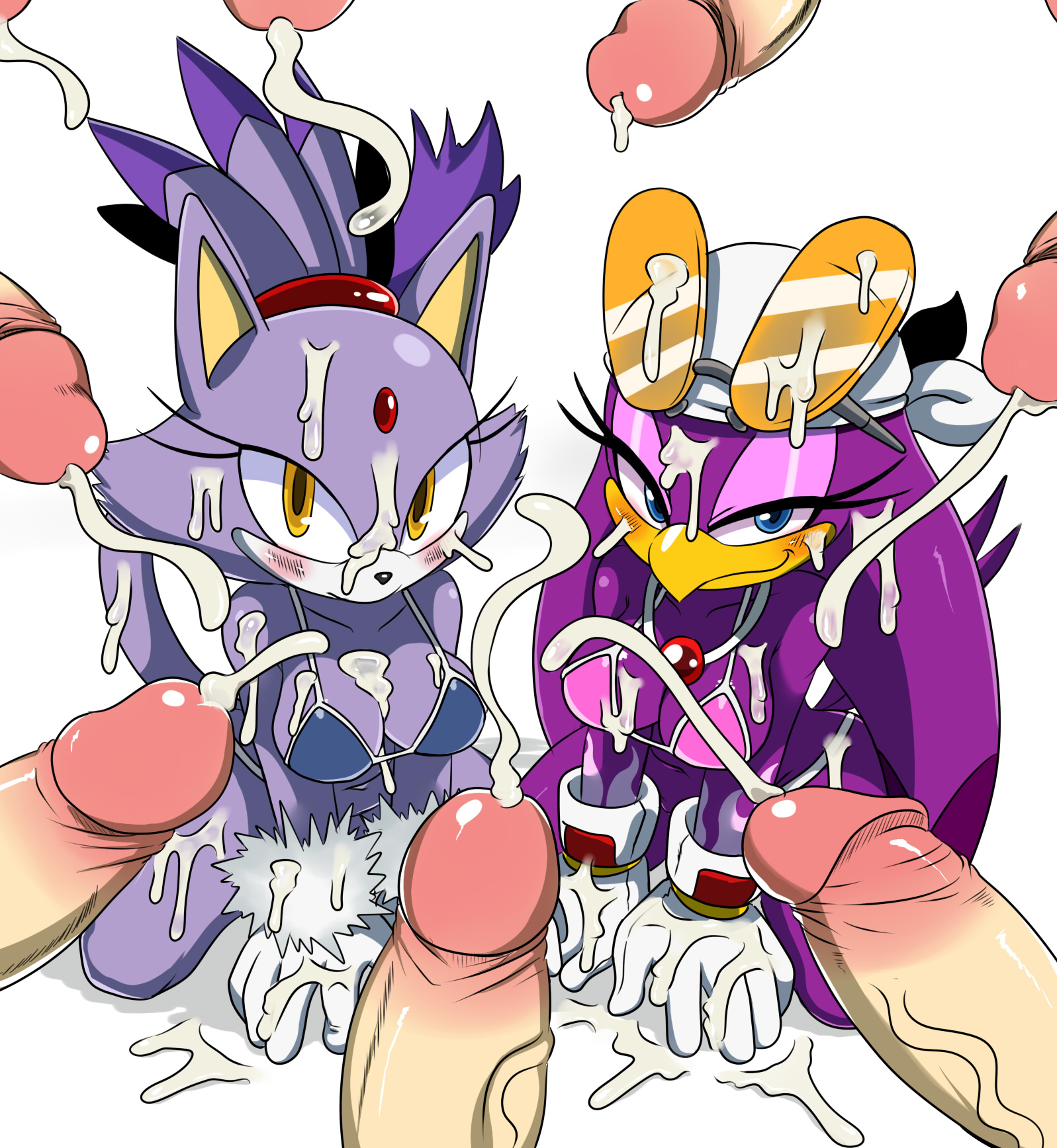 Rule34 – If it exists, there is porn of it / sssonic2, blaze the cat, wave the swallow / 458049