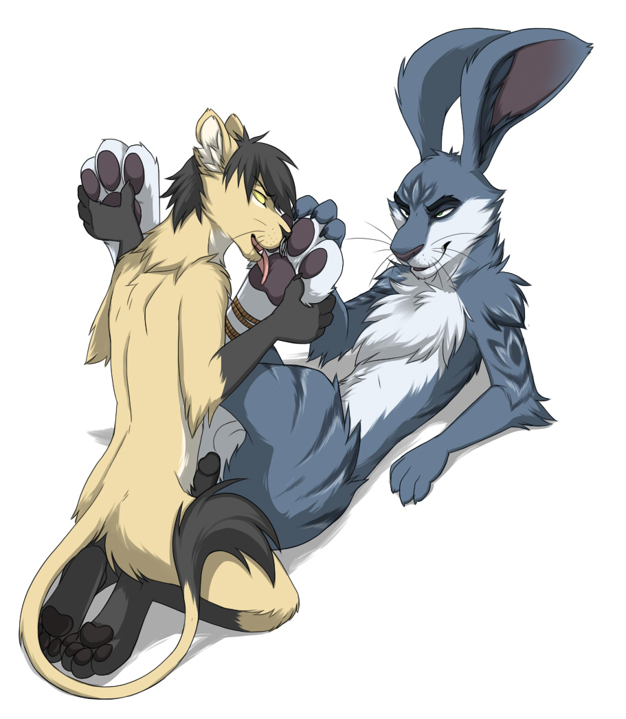 Rule34 – If it exists, there is porn of it / keihound, bunnymund / 458585