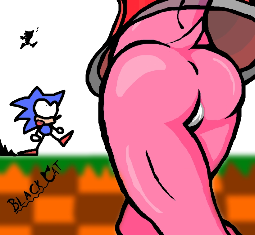 Rule34 – If it exists, there is porn of it / blackcat, amy rose, sonic the hedgehog / 459373