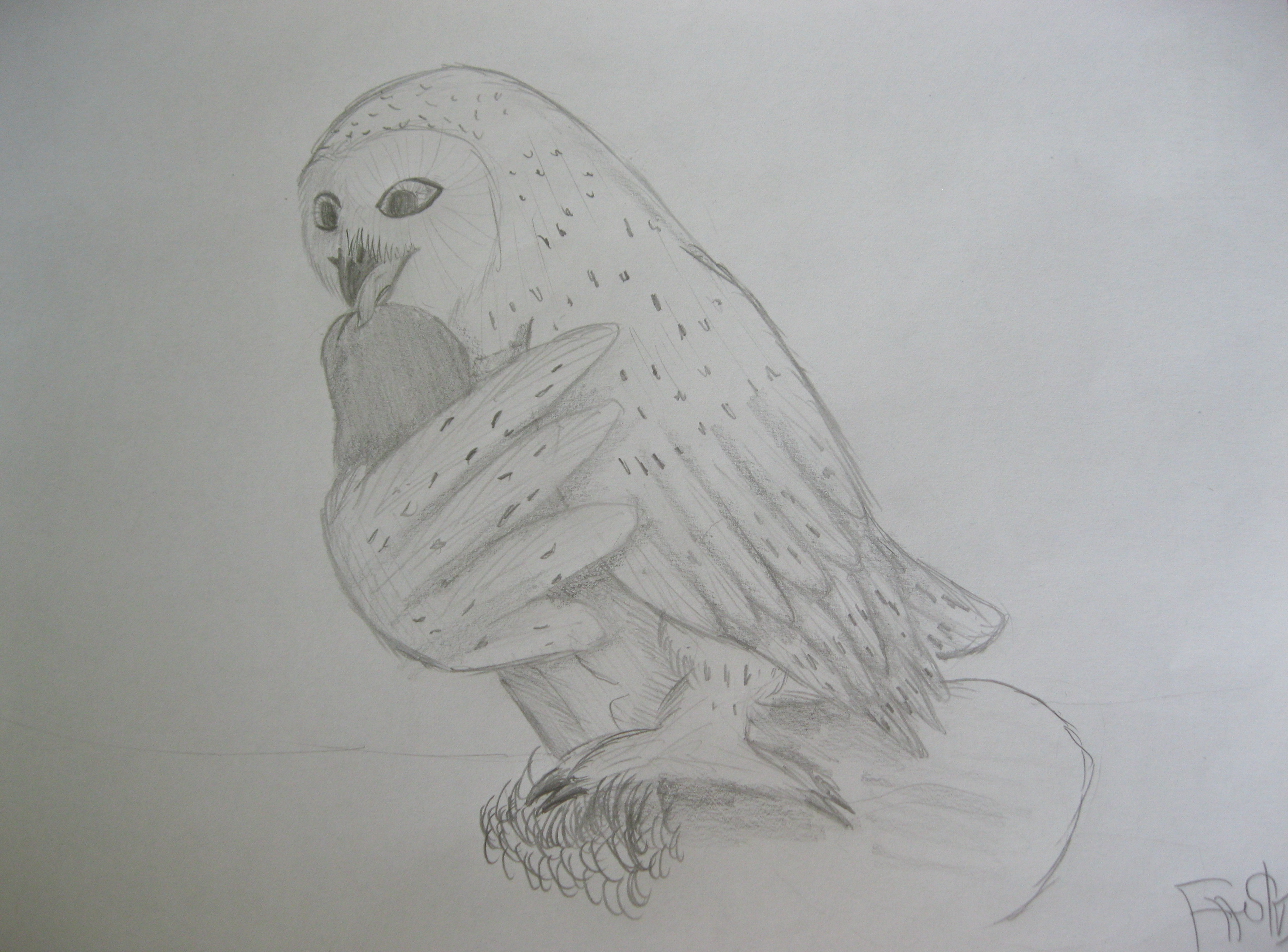 Rule34 – If it exists, there is porn of it / tiberius170, barran / 460793