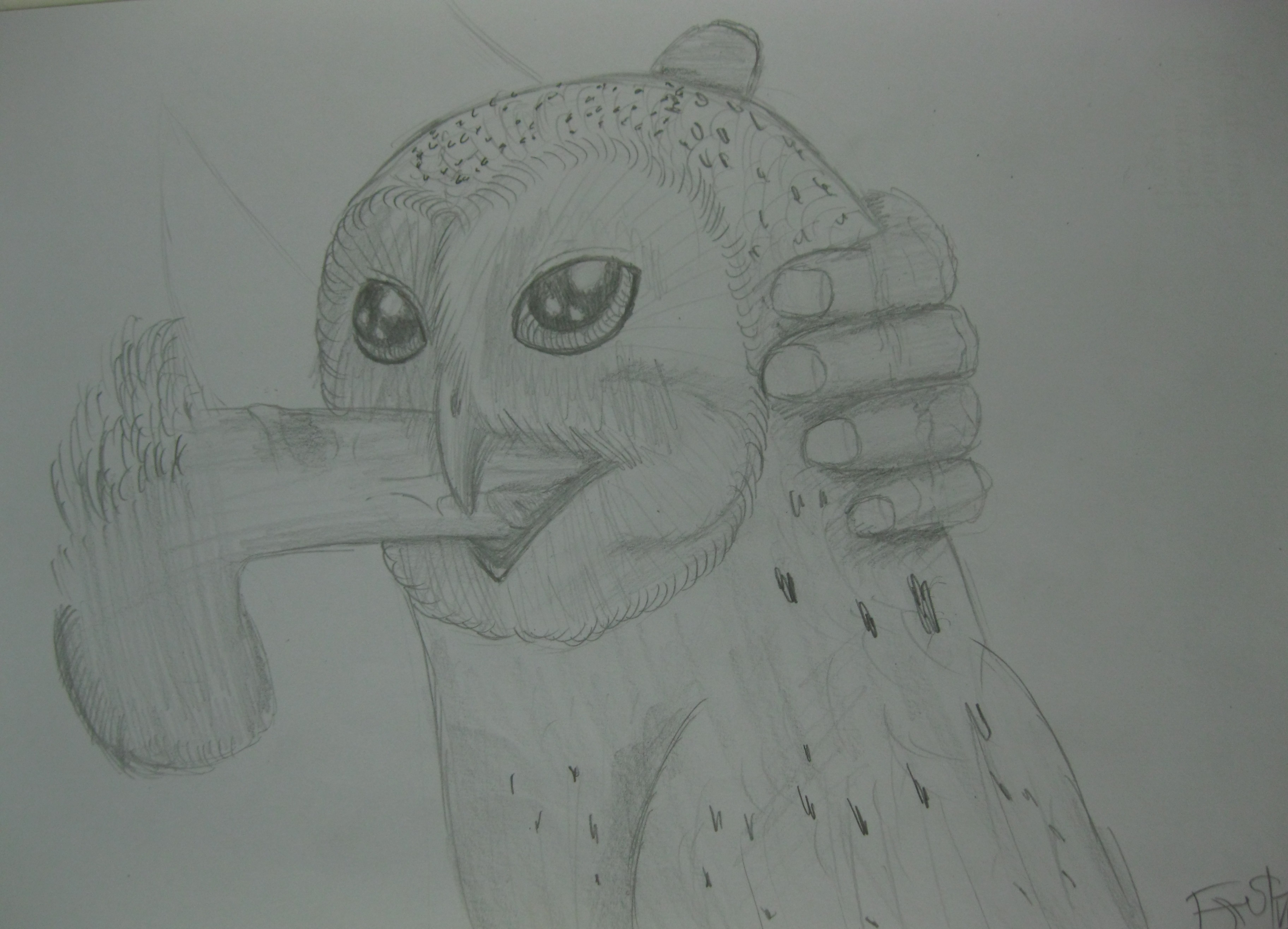 Rule34 – If it exists, there is porn of it / tiberius170, soren / 460803