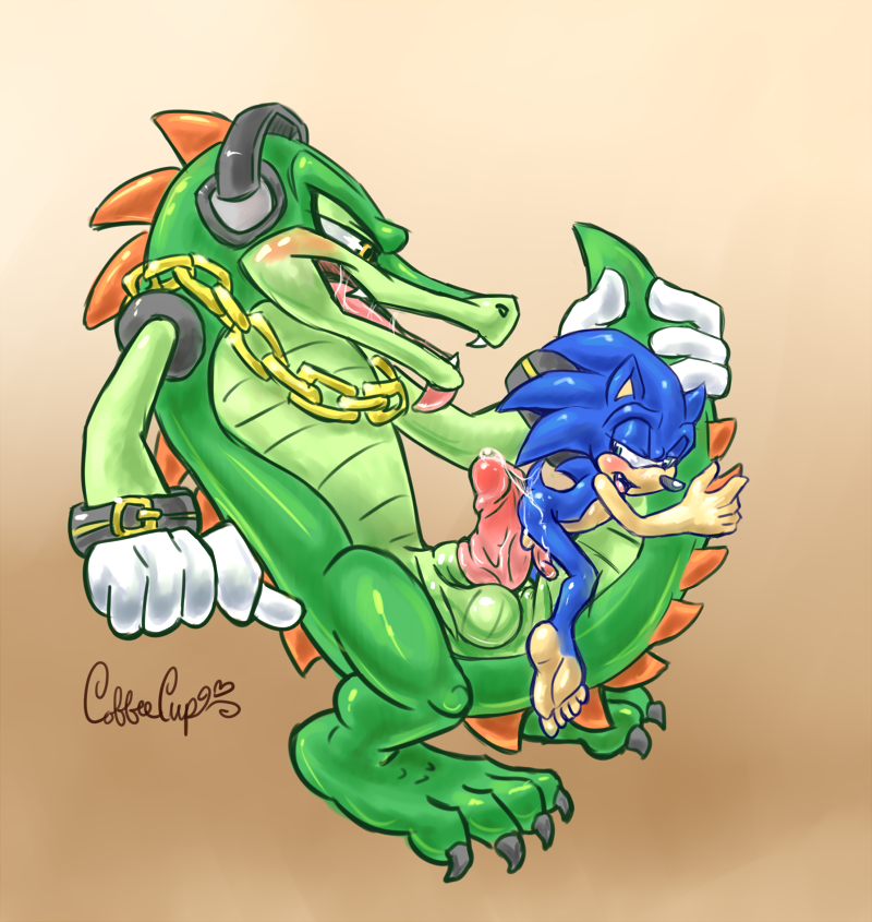 Rule34 – If it exists, there is porn of it / coffeecup (artist), sonic the hedgehog, vector the crocodile / 463271