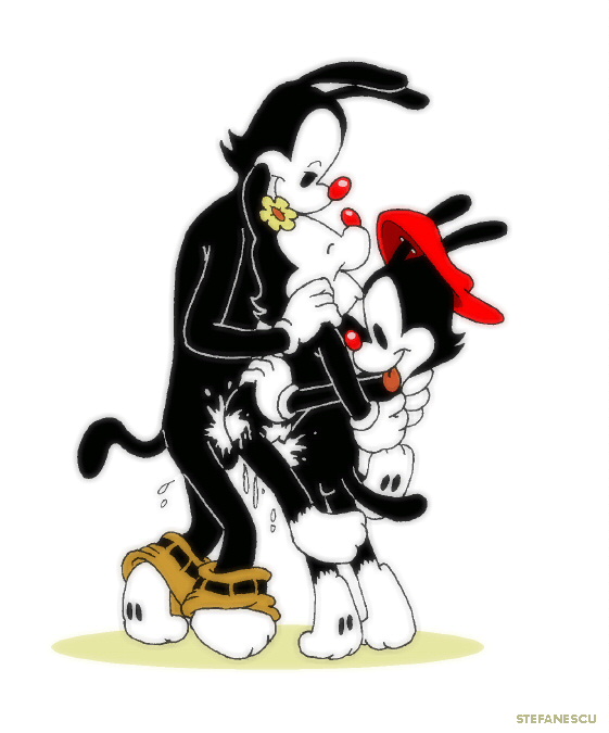 Rule34 – If it exists, there is porn of it / dot warner, wakko warner, yakko warner / 463597