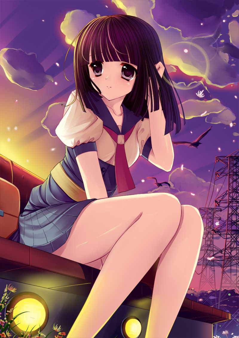 caidychen, sengoku nadeko, bakemonogatari, monogatari (series), light, bad id, bad pixiv id, 00s, 1girl, adjusting hair, arm support, bench, bird, black eyes, black hair, brown hair, cloud, female focus, flower, from below, legs, long legs, petals, power lines, sitting, sky, solo, sunlight, utility pole