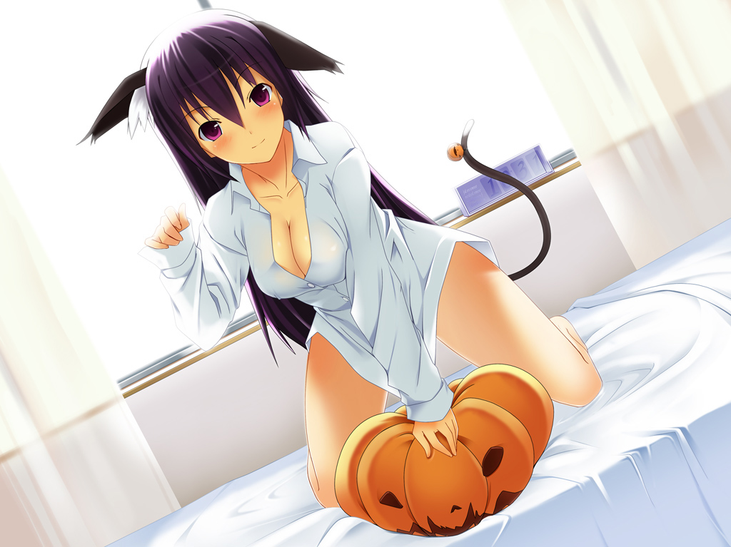 koikeya, original, bad id, bad pixiv id, 1girl, animal ears, backlighting, bed, bell, breasts, cat ears, cat tail, cleavage, collar, dress shirt, female focus, indoors, jack-o'-lantern, leaning forward, long hair, no bra, paw pose, pumpkin, purple eyes, purple hair, shirt, solo, tail, tail bell, tail ornament, very long hair, white shirt, window