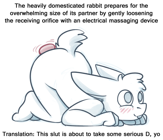 Rule34 – If it exists, there is porn of it / fatalfox, tyler / 465136