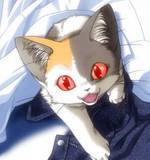 clothes, lowres, baby animal, calico (pattern), cat, fang, fangs, icon (computing), kitten, red eyes
