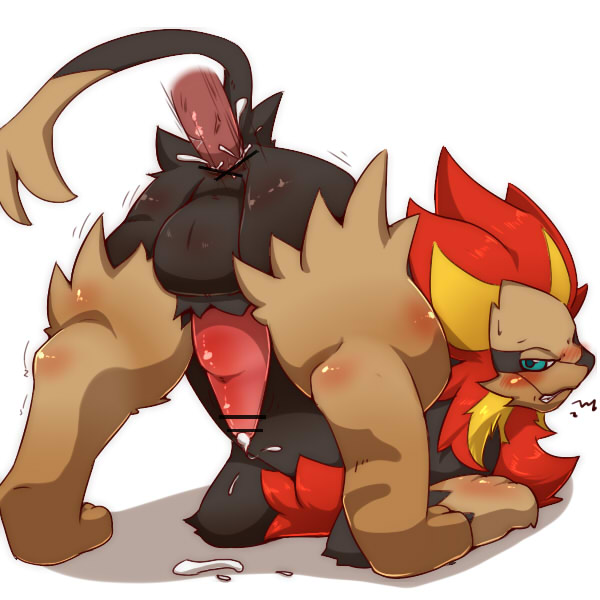 Rule34 – If it exists, there is porn of it / okunawa, pyroar / 467634