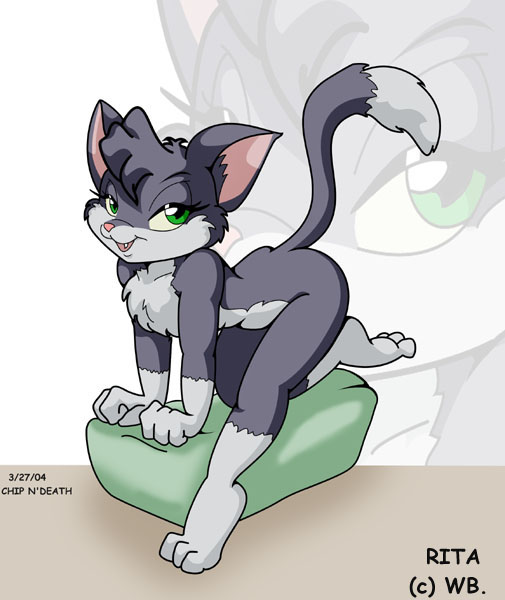 Rule34 – If it exists, there is porn of it / rita (animaniacs) / 467733