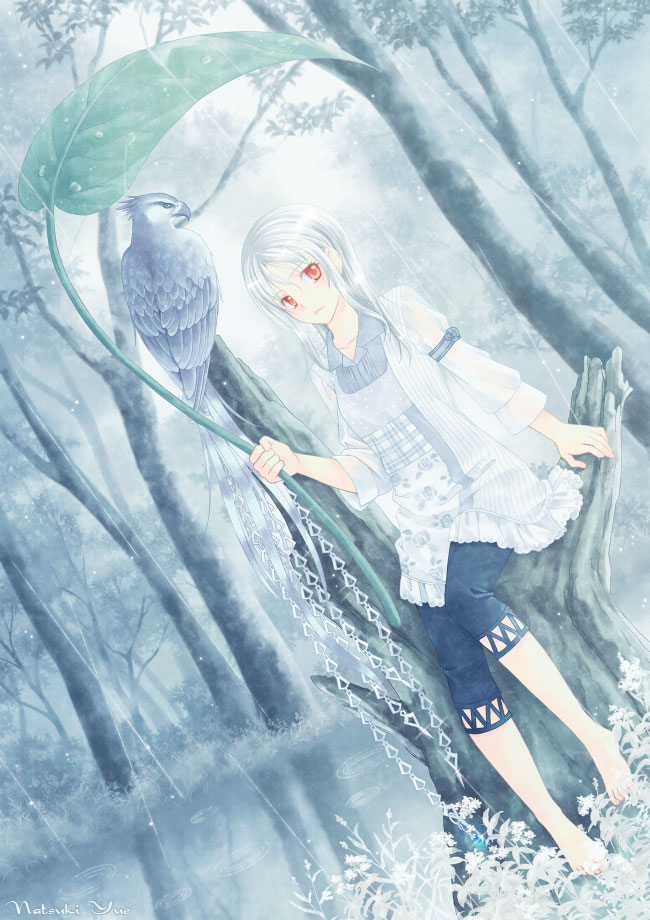 yue natsuki, original, bad id, bad pixiv id, 1girl, animal, artist name, barefoot, bird, closed mouth, dutch angle, female focus, forest, frost, full body, grey theme, holding, ice, leaf umbrella, nature, orange eyes, red eyes, short hair, sitting, solo, tree, white hair