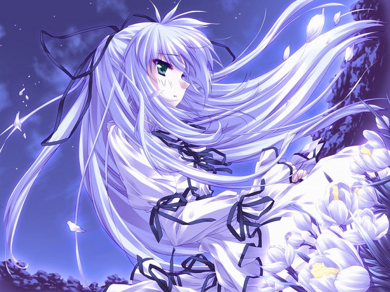 artist request, character request, copyright request, non-web source, source request, 1girl, 2000, dress, feathers, flower, hair ornament, hair ribbon, long hair, long sleeves, night, ribbon, sky, solo, upper body, white hair